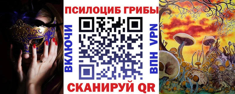 наркотики  Пудож  Псилоцибиновые грибы ЛСД 